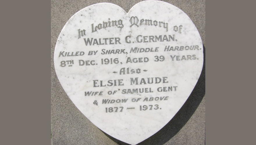 "bloodcurdling screams": Shark Attack in Middle Harbour