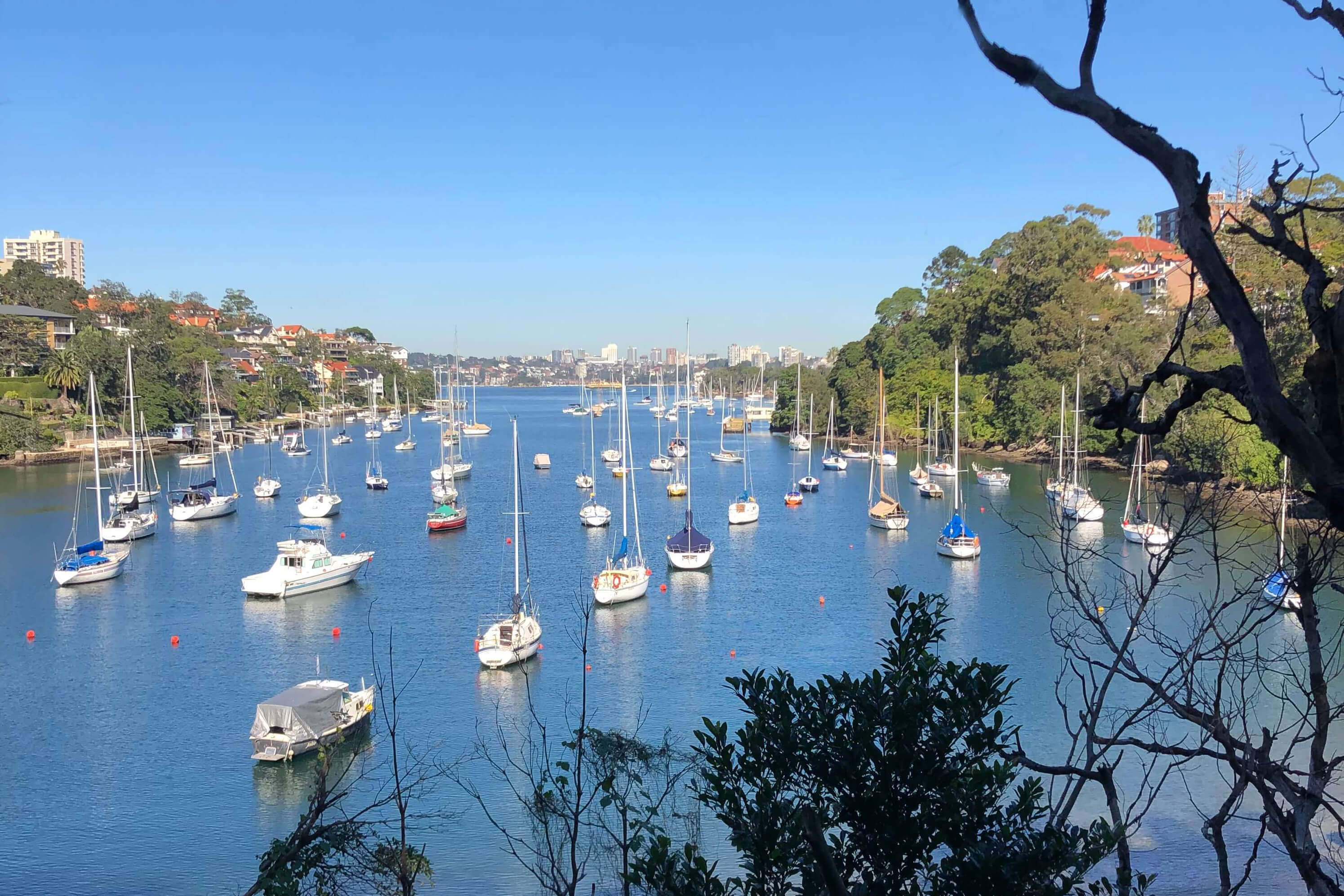 Mosman Historical Society